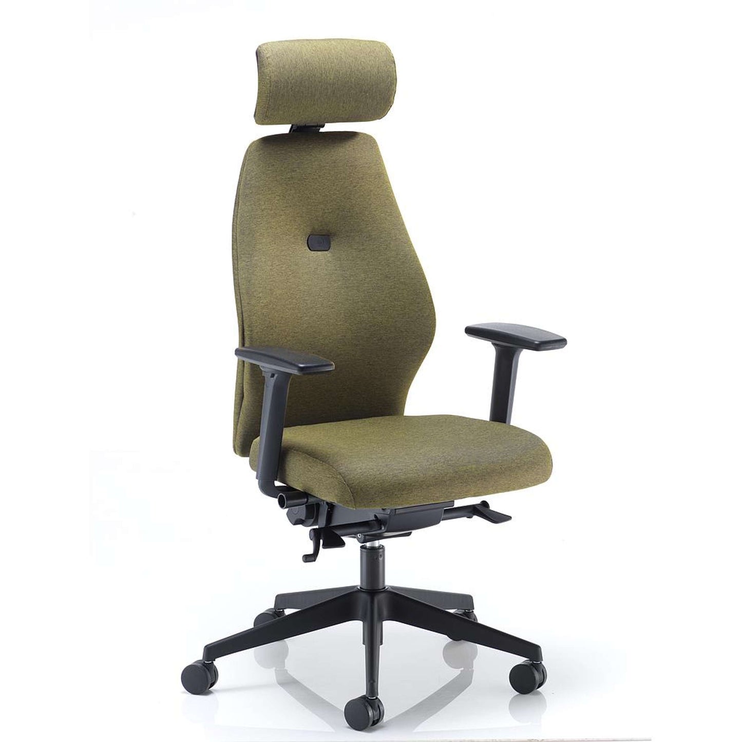 Superior Ergonomic Posture Chair with Height & Depth Adjustable Arms | Unlimited Band 1