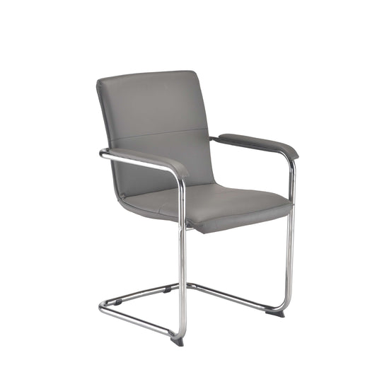 Pavia Visitor Chair | Grey Pu