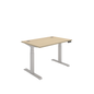 Office Rectangular Dual Motor Sit Stand Desk (FSC) | 1200X800 | Oak/Silver